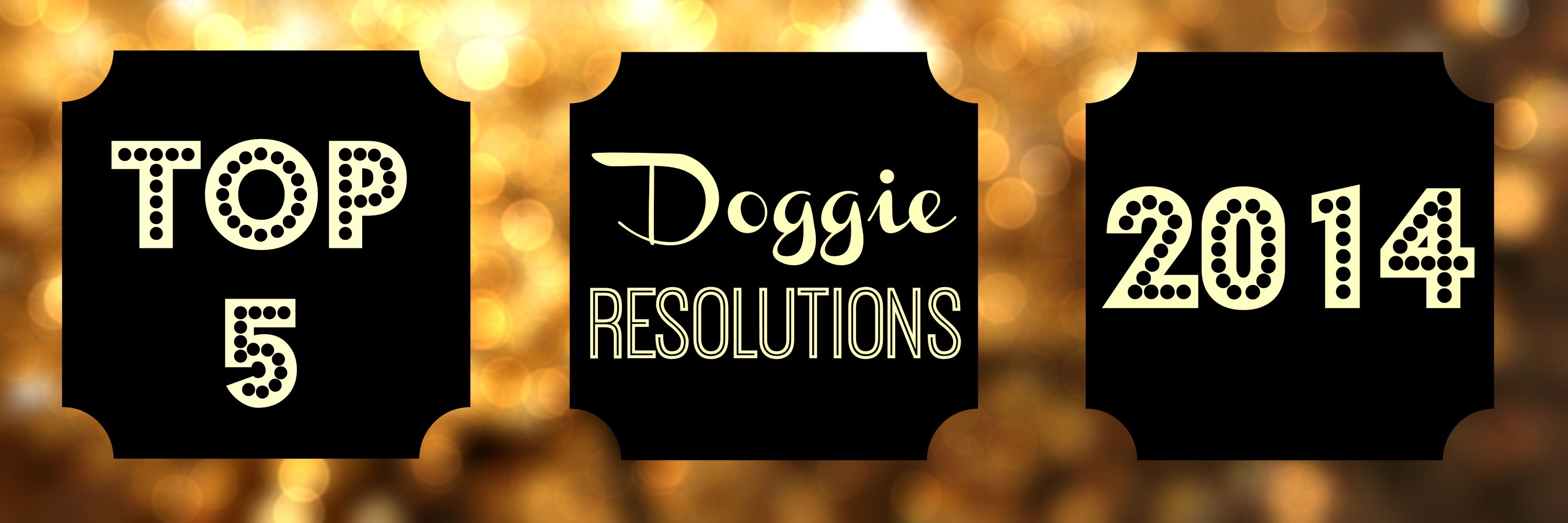 Top 5 New Years Resolutions For Your Dog (And You!)