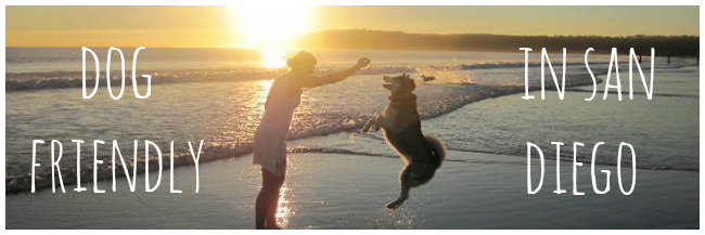 best places for singles to live in san diego