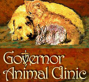 governor animal hospital